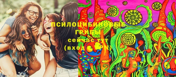 mix Бородино